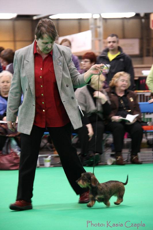 Crufts2011_2 1065.jpg